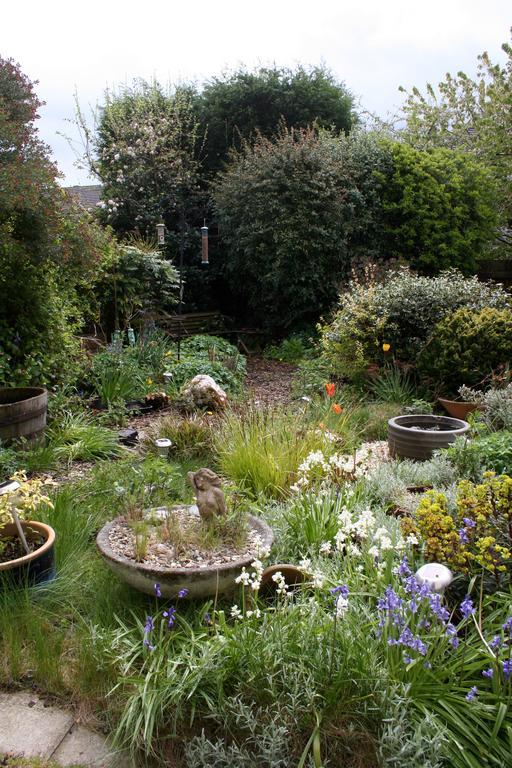 Mere Cottage B & B Alsager Exterior foto
